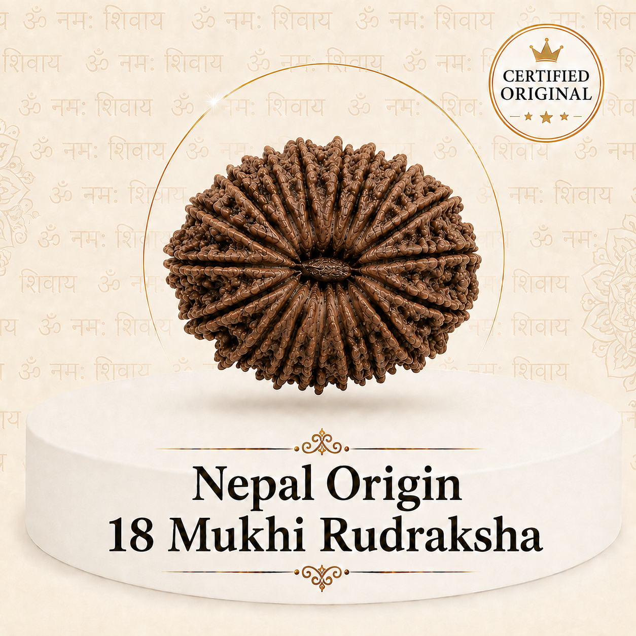 18 Mukhi Rudraksha (Nepal Origin)